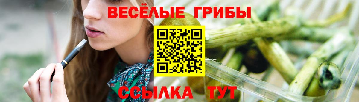 Воткинск  Псилоцибиновые грибы Cubensis  Вход с VPN 